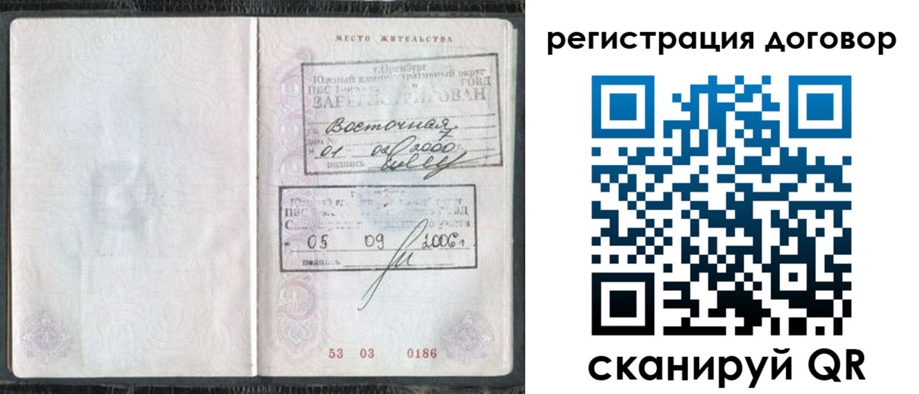 временная регистрация надежно в Апатитах